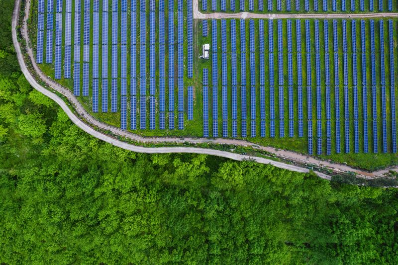 Las empresas mantienen en secreto los objetivos climáticos a medida que despega el 'silencio verde'