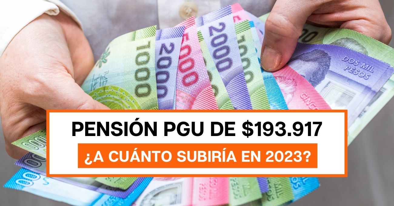 PGU actual de $193.917 subiría de monto el próximo año