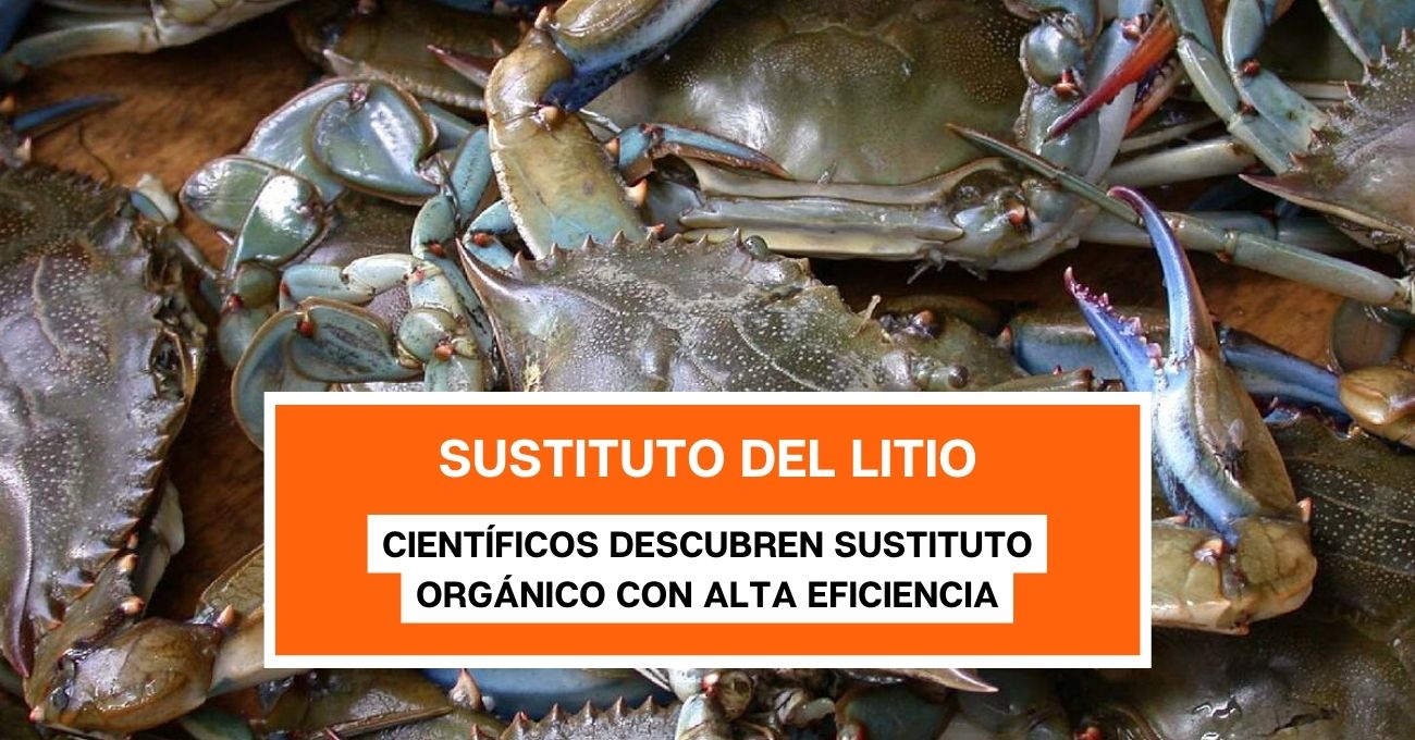 Científicos dan con sustituto del litio con una eficiencia del 99,7% durante 400 horas de uso