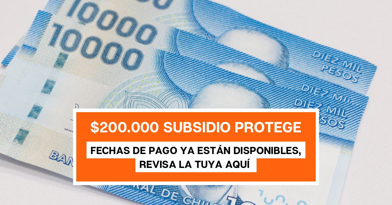 $200.000 por Subsidio Protege: Revisa con tu rut la fecha del último pago