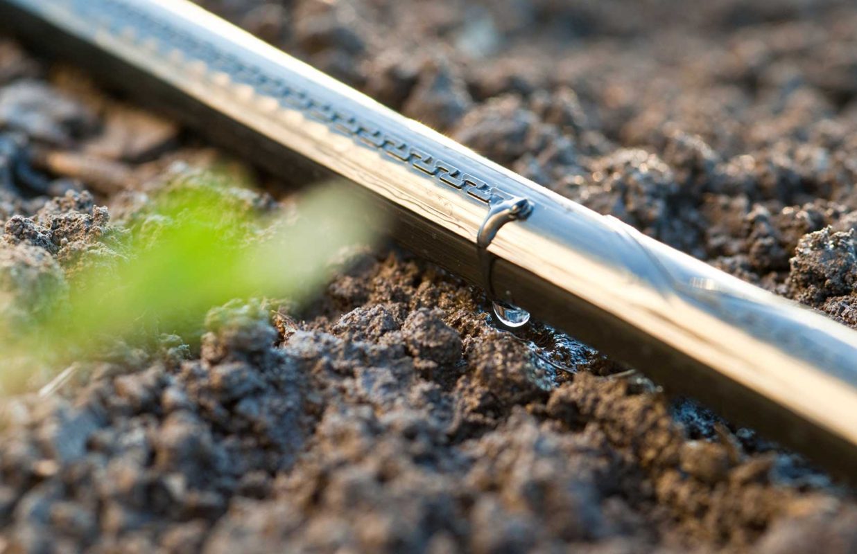 Oxigenación con Nanoburbujas: Una Solución Innovadora para la Escasez de Agua y la crisis hídrica