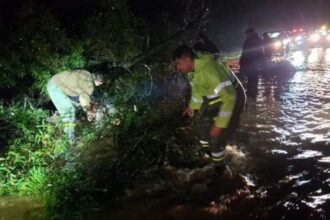 Afectadas Pichilemu y Paredones: Nuevo sistema frontal llegó con mucha fuerza en la noche