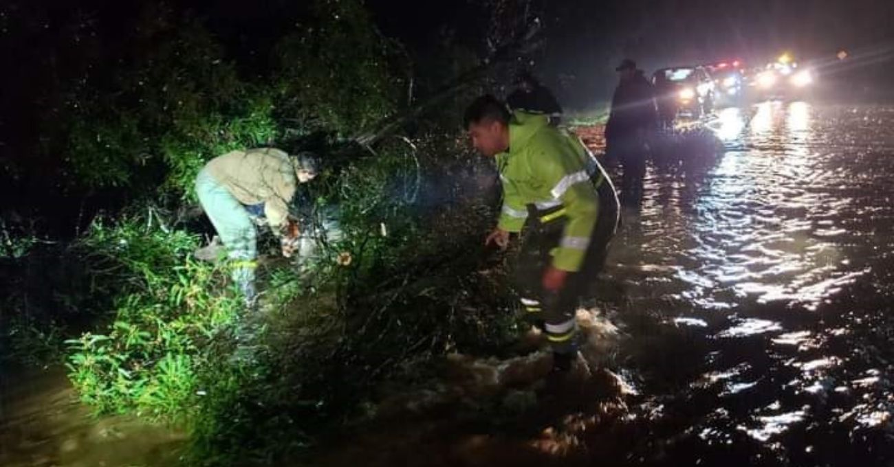 Afectadas Pichilemu y Paredones: Nuevo sistema frontal llegó con mucha fuerza en la noche