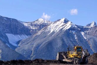 Un Proceso de Venta Extensivo: La unidad de carbón de Teck enfrenta una avalancha de propuestas inesperadas