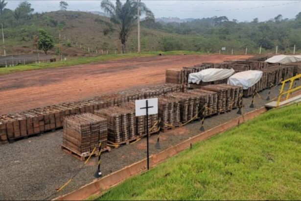 Brasil: Bravo Mining excava una zona de 175 m de mineralización de óxido PGM+Au en Luanga