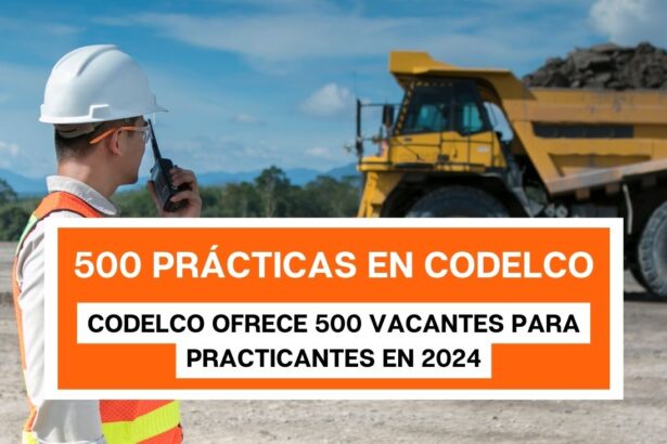 Revisa 500 cupos en CODELCO para prácticas de verano 2024