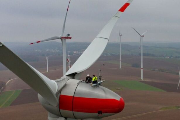 Grupo eléctrico francés ingresa a evaluación ambiental un parque eólico por más de US$100 millones en Biobío