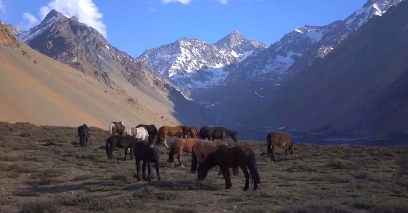 Codelco cede 24 mil hectáreas en el Cajón del Maipo para su protección