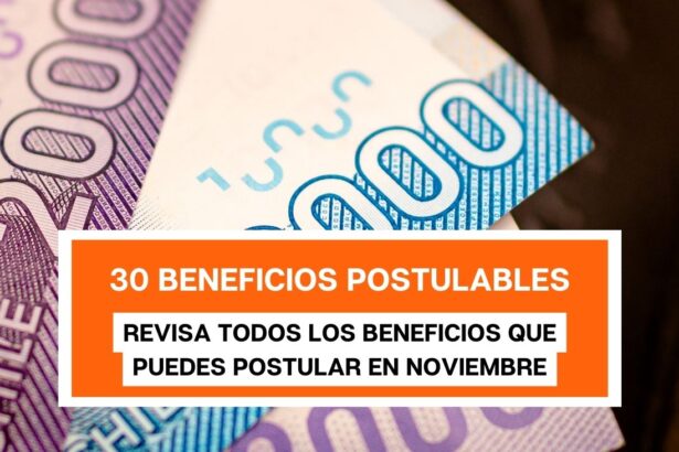 30 Beneficios Estatales que puedes postular en Noviembre