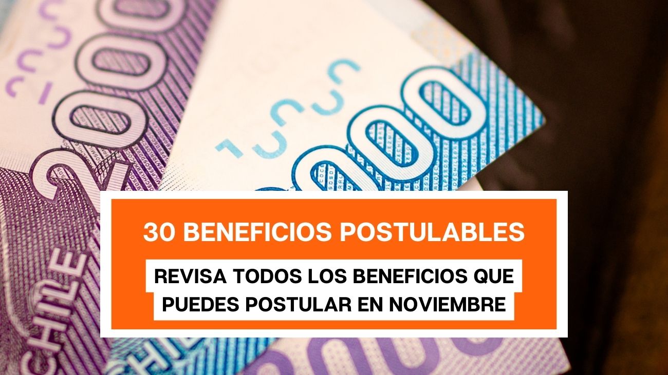 30 Beneficios Estatales que puedes postular en Noviembre