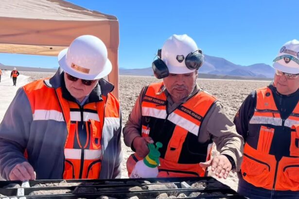 Junta de accionistas de Lithium Power International da luz verde a venta de acciones a Codelco