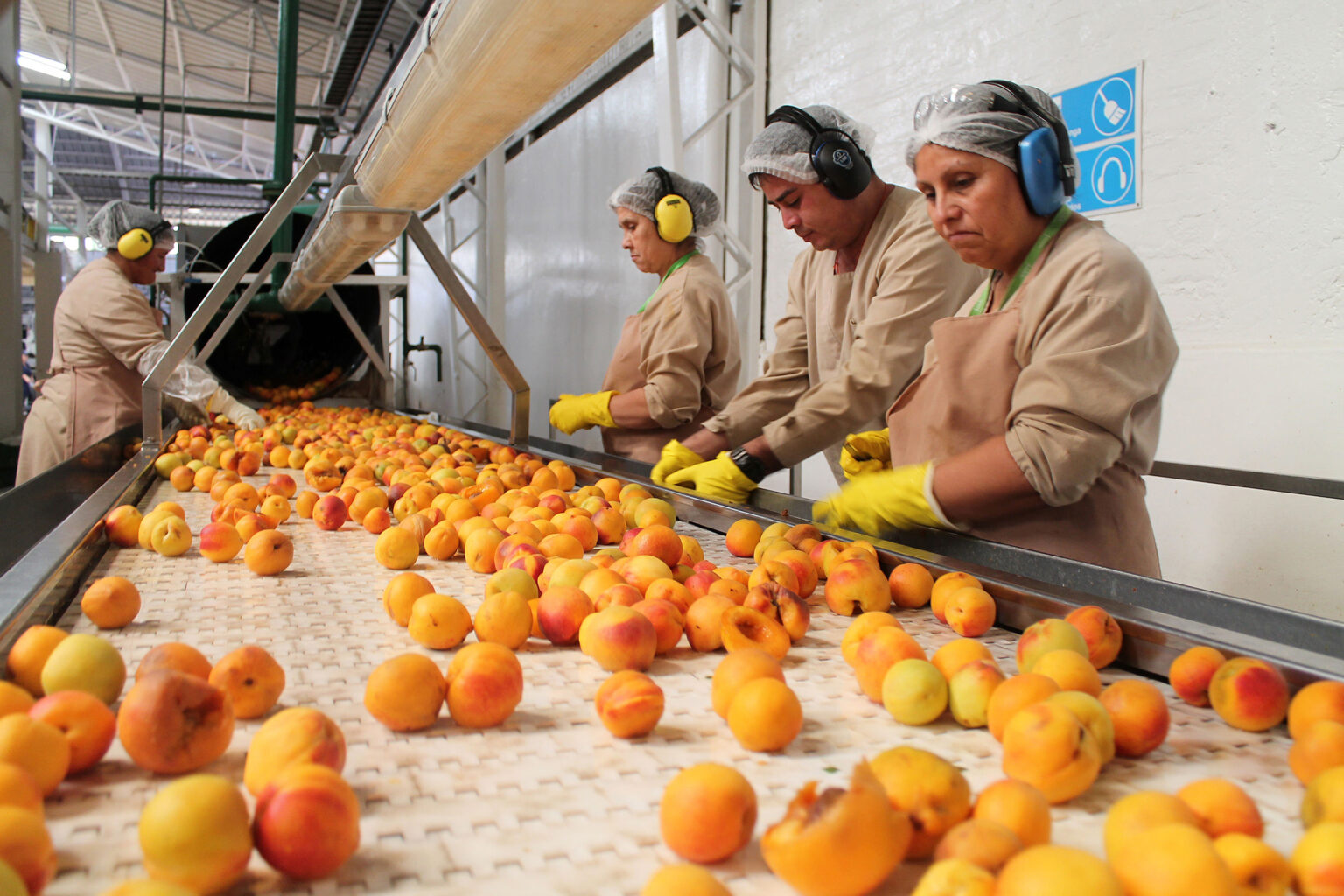 ¿Cuáles son los bonos que los trabajadores pueden recibir?