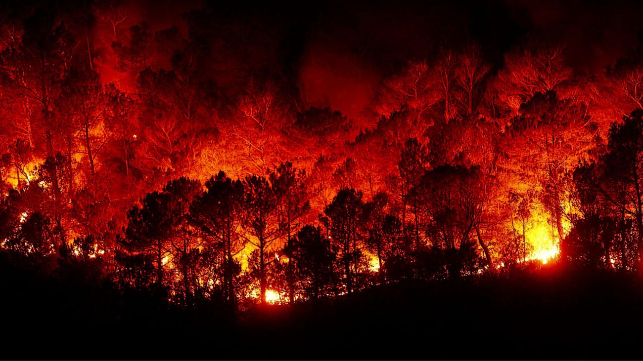 Sonami anuncia medidas solidarias tras incendios en Valparaíso