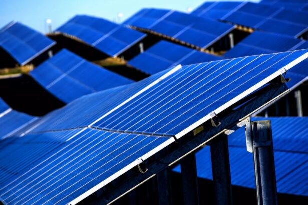 "Fotowatio Renewable Ventures ingresa al mercado finlandés con proyectos fotovoltaicos"