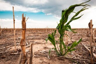 Avances y retos en la lucha contra el cambio climático en empresas