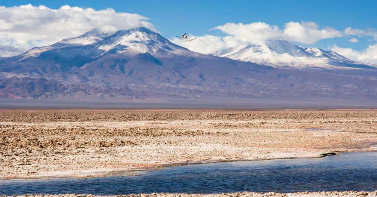 Consejo de Pueblos Atacameños advierte que defenderá que “cada paso” que den Codelco y SQM “lo hagan con acuerdo de las comunidades”