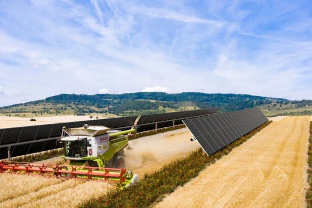 Finaliza en España el primer parque solar agrovoltaico con BayWa r.e. y Grupo VELUX