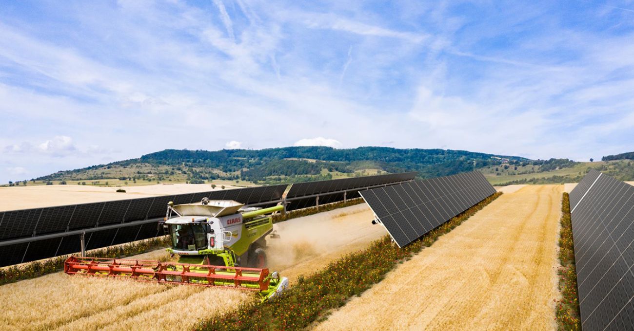 Finaliza en España el primer parque solar agrovoltaico con BayWa r.e. y Grupo VELUX