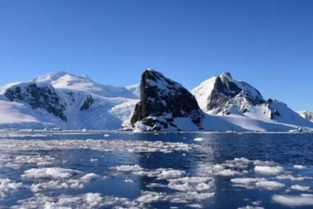 Argentina investiga el hallazgo de Rusia y evalúa un planteo en la cumbre de Tratado Antártico
