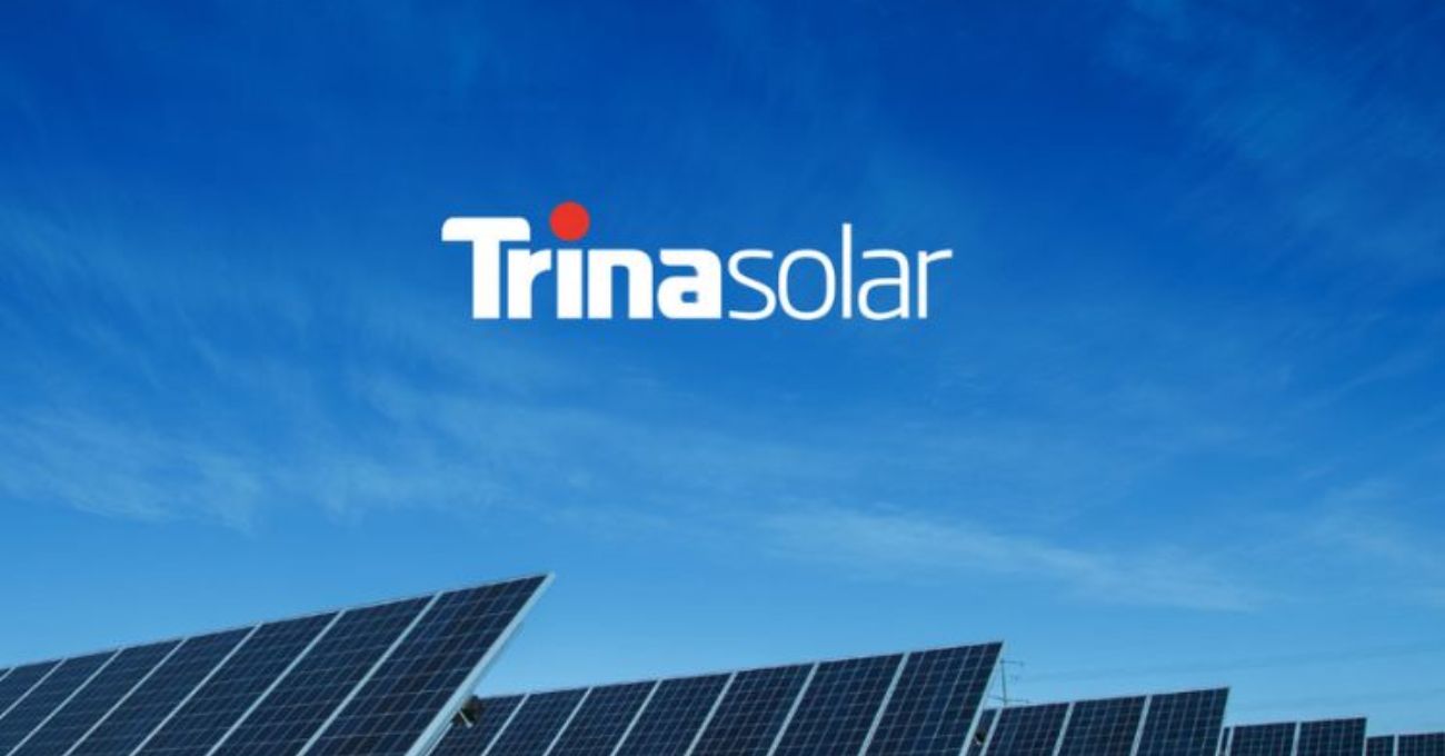 Trina Solar: Un compromiso con la biodiversidad y la protección de humedales