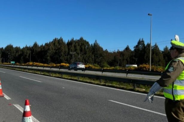 Hombre detenido por manejar a 209 km/h en Ruta 5 Sur en Chile: posibles penas de cárcel