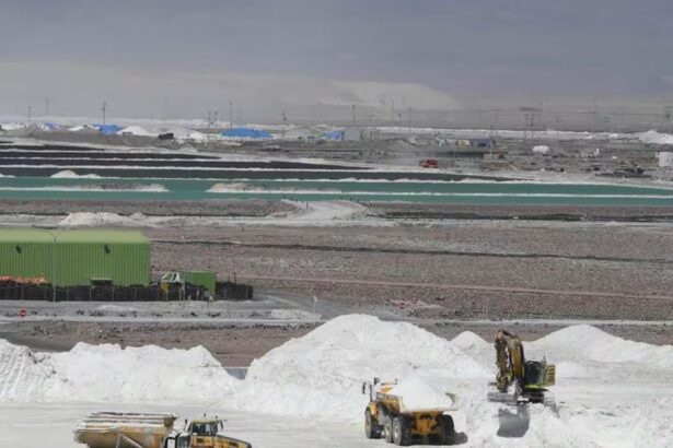 “Una serie de irregularidades e ilegalidades”: comunidad atacameña de Coyo busca anular acuerdo entre Codelco y SQM