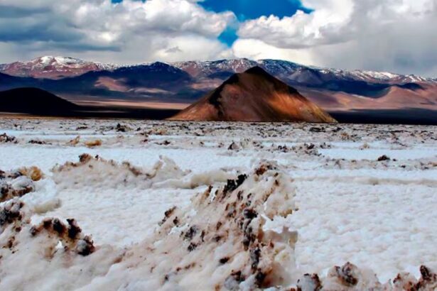 El Proyecto Paloma de Codelco en Maricunga: ofrece el 49%, cifra inversión en US$ 2.300 millones y partirá con evaporación