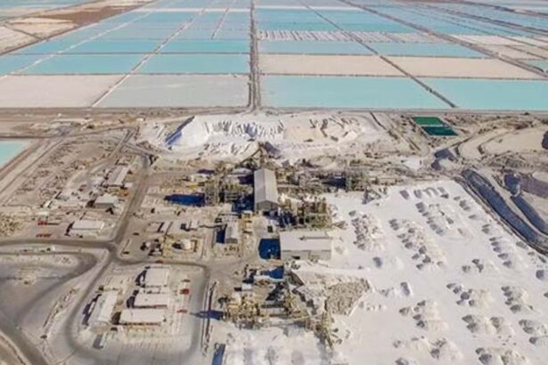 Morgan Stanley puso números a acuerdo Codelco-SQM y Pacheco recibió oferta de empresas chinas