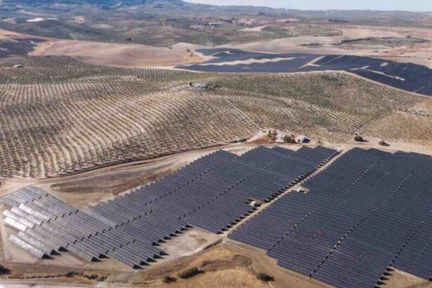 TrinaTracker: La transformación tecnológica que impulsa la eficiencia en centrales fotovoltaicas