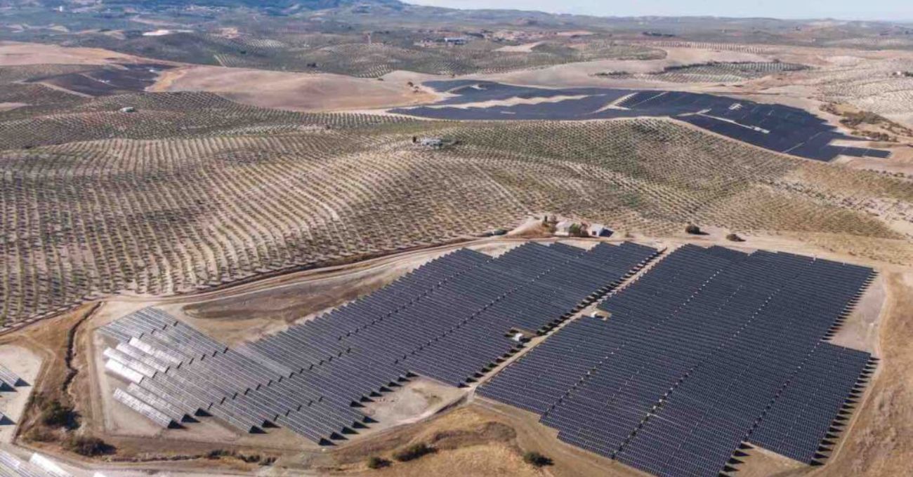 TrinaTracker: La transformación tecnológica que impulsa la eficiencia en centrales fotovoltaicas