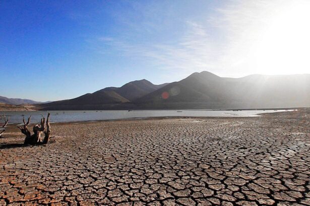 Inicio de consulta pública para el Plan Sectorial de Cambio Climático en Chile.