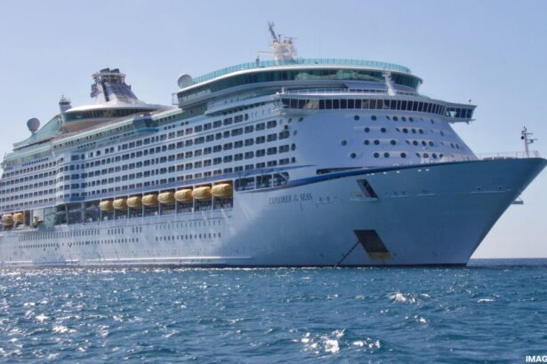 ¡Royal Caribbean busca trabajadores en Chile para sus cruceros con 300 vacantes disponibles!