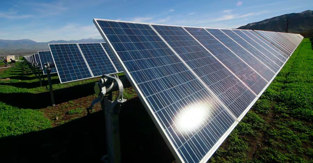 Tribunal ratifica proyecto fotovoltaico Chicureo Solar como compatible territorialmente