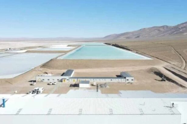 Argentina: Argosy Minerals firma contrato de exportación de carbonato de litio a Corea del Sur