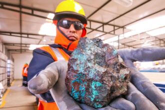 Perú: Encuentran muestras de cobre de alto grado en Proyecto Cinto