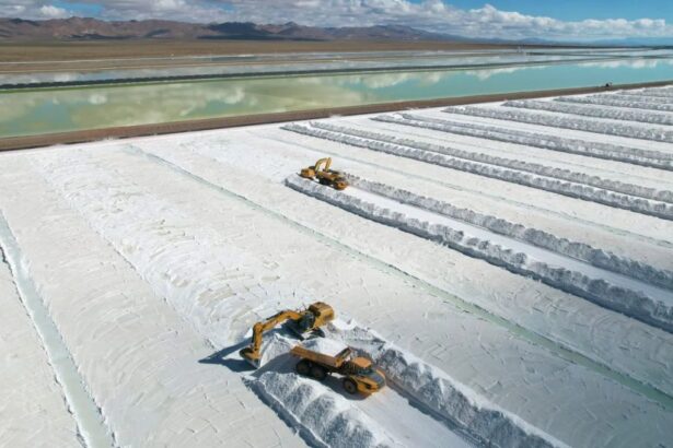 Argentina se convierte en importante productor de litio con creciente capacidad de producción