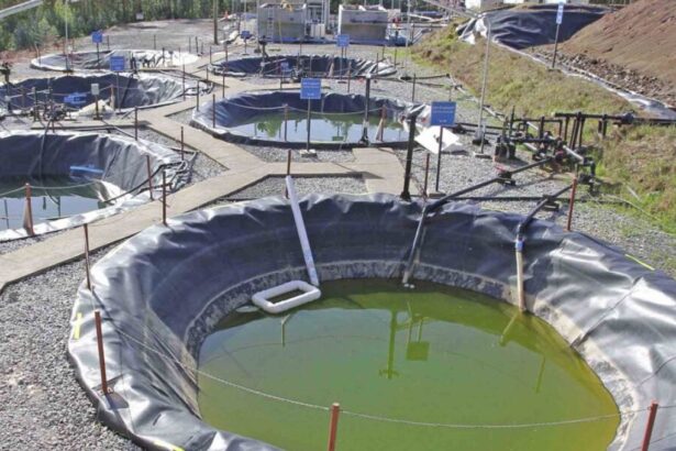 Aclara cede derechos de aguas y promueve la Cosecha Circular de Minerales en Penco