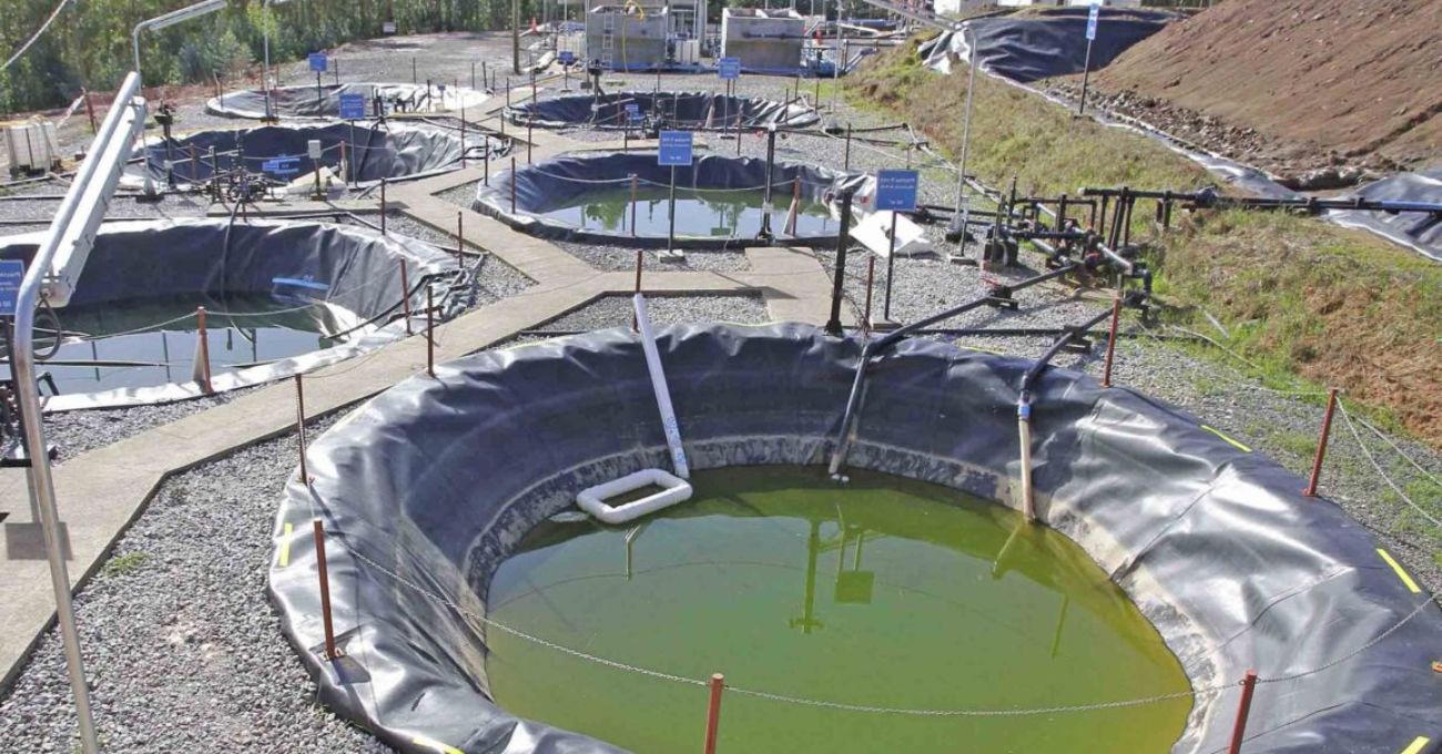 Aclara cede derechos de aguas y promueve la Cosecha Circular de Minerales en Penco