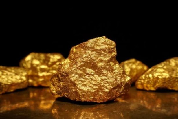 Siren adquiere el 30% de RUA Gold en estratégica expansión minera