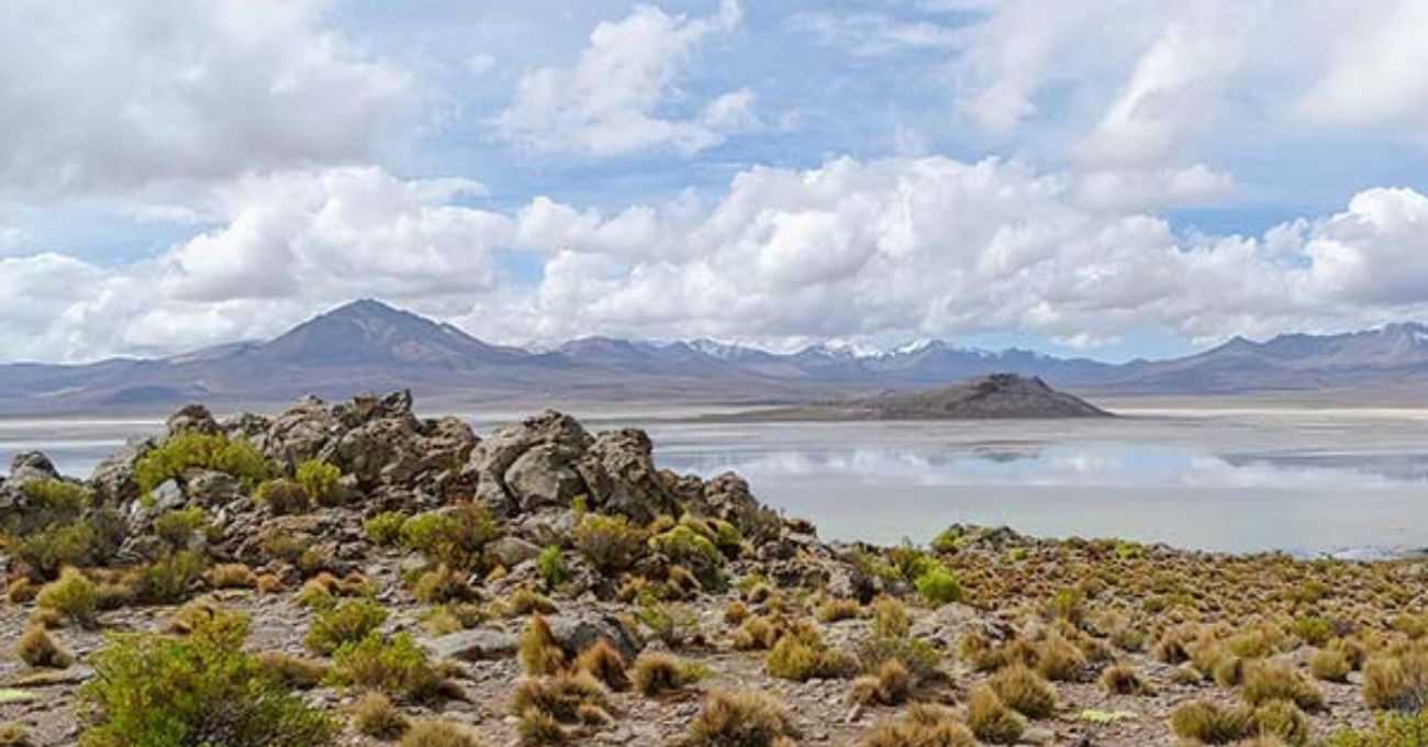 Demanda del CDE busca suspensión de actividades mineras en Salar de Surire