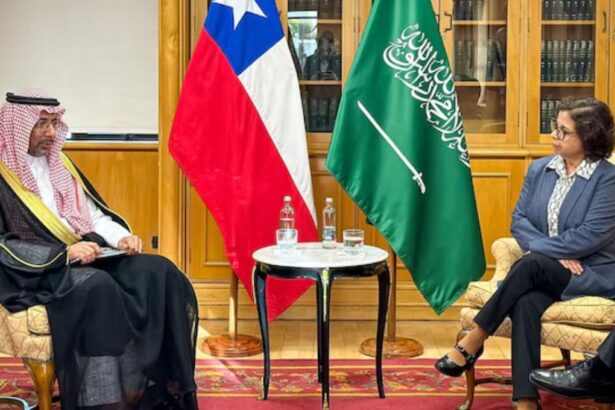 Arabia Saudita busca colaborar e invertir en la minería chilena