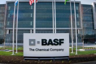 BASF abandona planes de inversión en litio en Chile