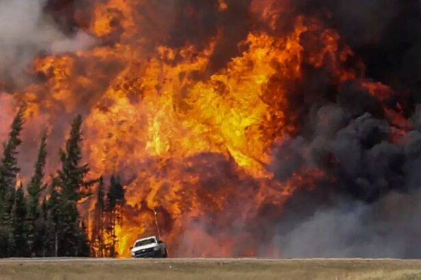 Incendios forestales en Alberta amenazan producción petrolera y elevan los precios