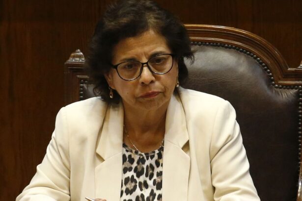 La ministra de Minería resalta beneficios de los contratos del litio