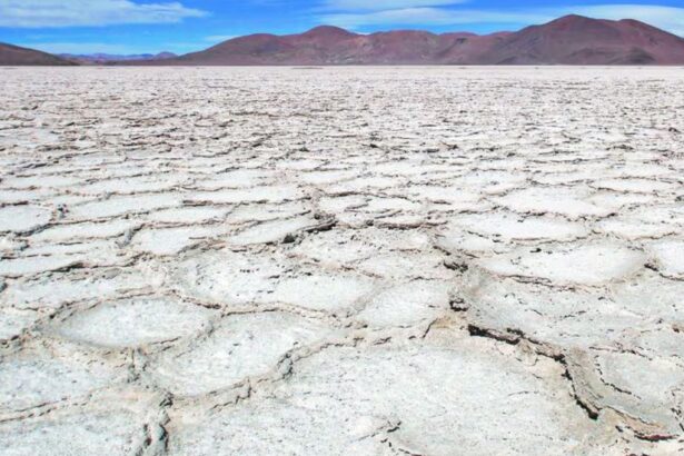 "Alta incertidumbre tecnológica en la explotación de salares de litio en Chile"