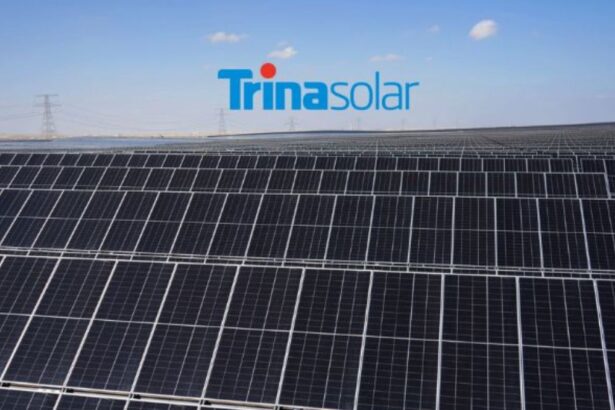 Trina Solar abre sus puertas en China para clientes de Latinoamérica
