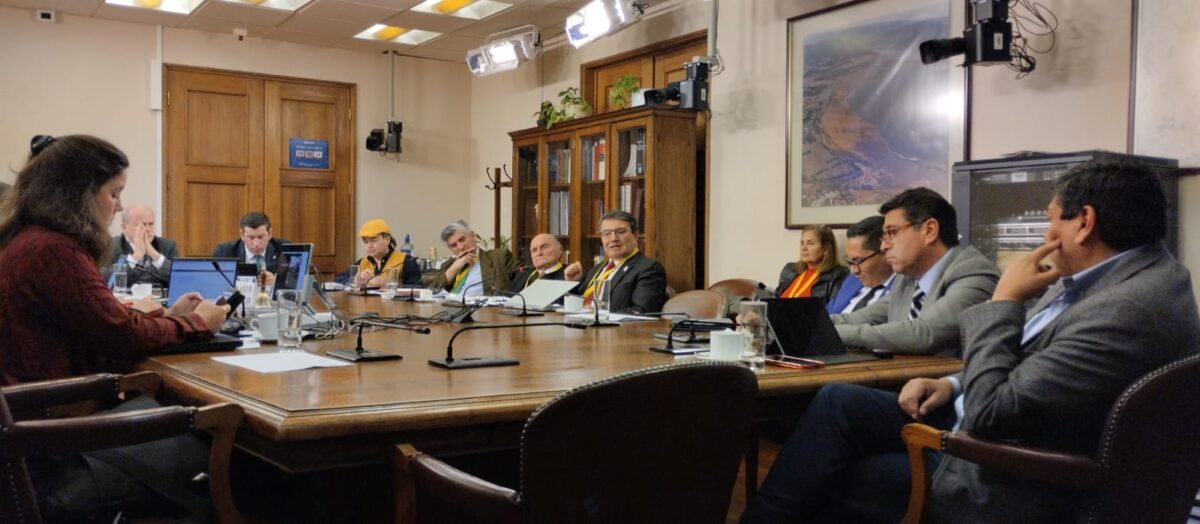Cámara Minera de Chile apoya proyecto de ley que deroga la no concesibilidad del litio