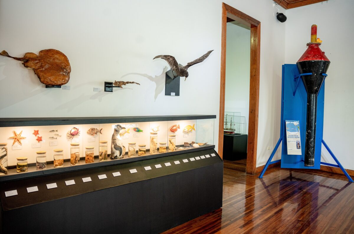 Con más de 8 mil 300 visitas finalizó muestra oceanográfica en Sala de Arte Casa Collahuasi