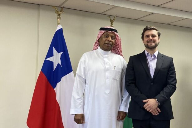 Ante visitantes de Arabia Saudita: Fexmin presentó el potencial geológico de Chile