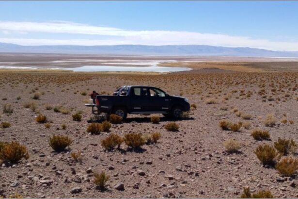 Argentina Lithium amplía extensión de acuíferos de salmuera en Salta